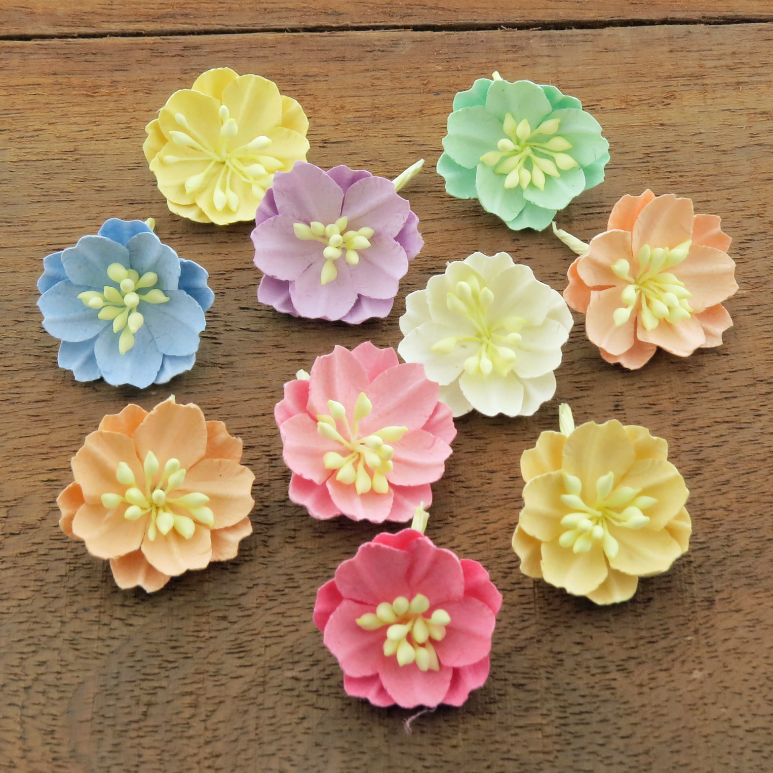 MIXED PASTEL COTTON STEM MULBERRY PAPER FLOWERS - SET A